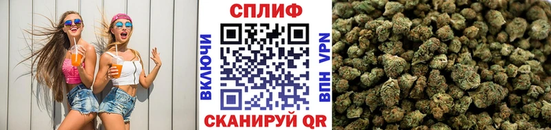 Alpha PVP Задонск