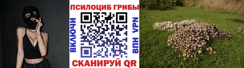 Галлюциногенные грибы Psilocybine cubensis  наркошоп  Задонск 